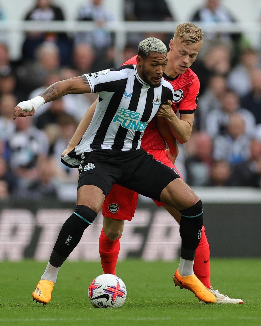 5252980646_1216069359.jpg 5252980646_1216069359.jpg