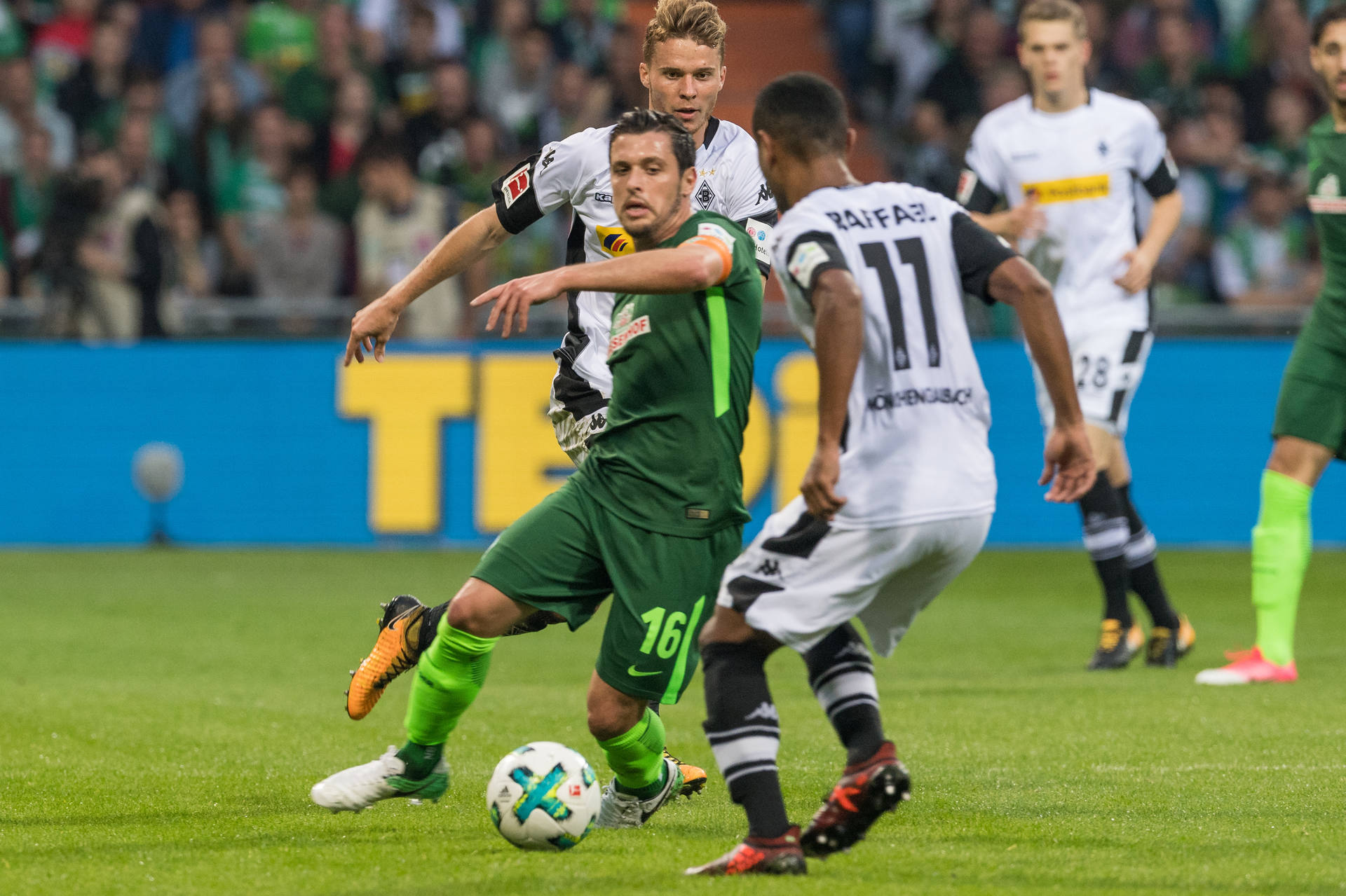 5281385204_1216069359.jpg 5281385204_1216069359.jpg